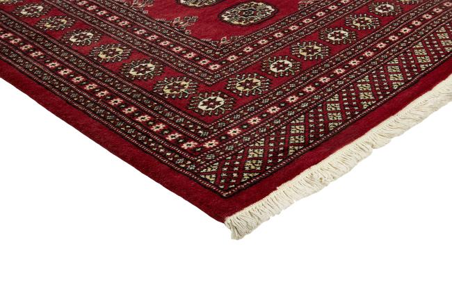 Pakistan Buchara 2ply - 3