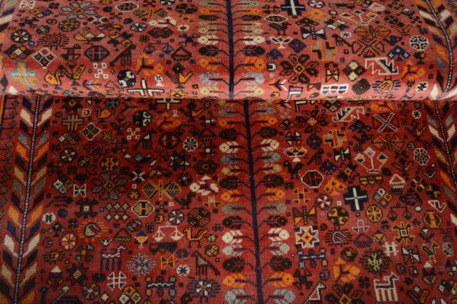 Shiraz - 1