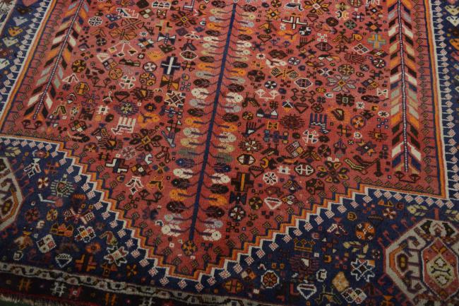 Shiraz - 9