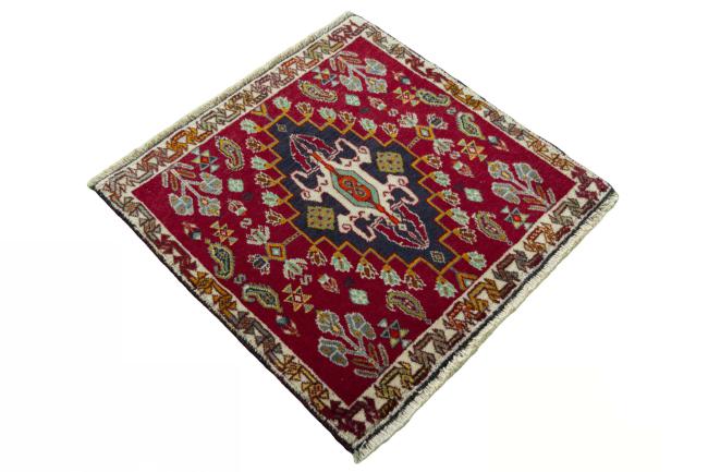 Shiraz - 2
