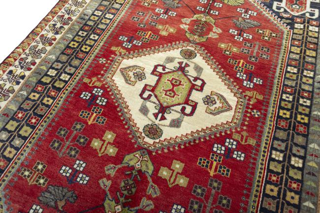 Shiraz - 4