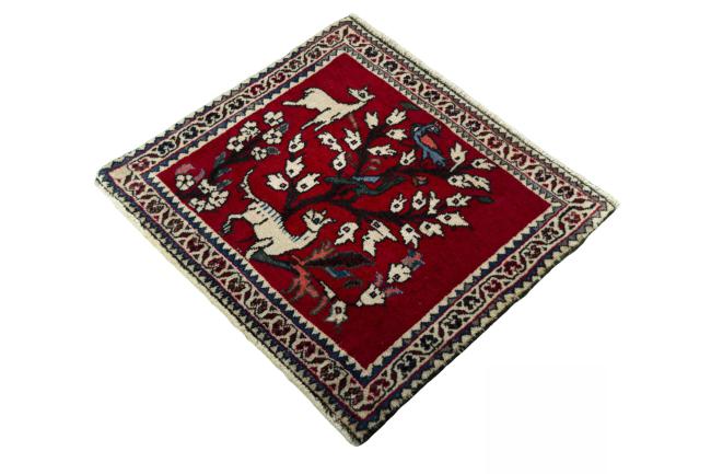 Shiraz - 1