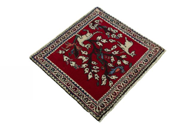 Shiraz - 2