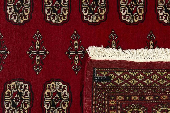 Pakistan Buchara 2ply - 1