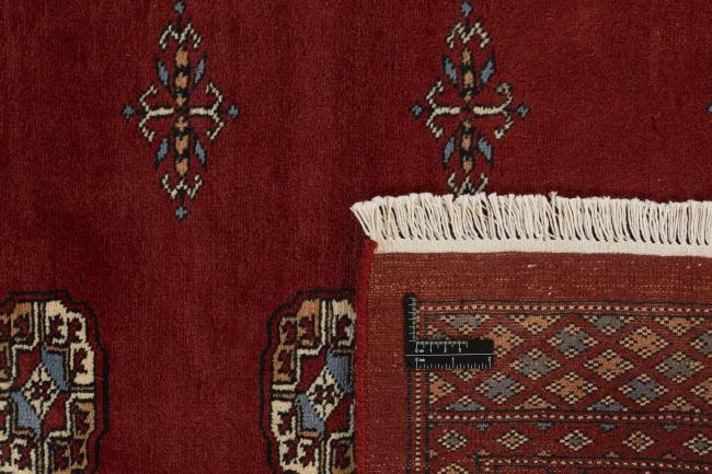 Pakistan Buchara 3ply - 1