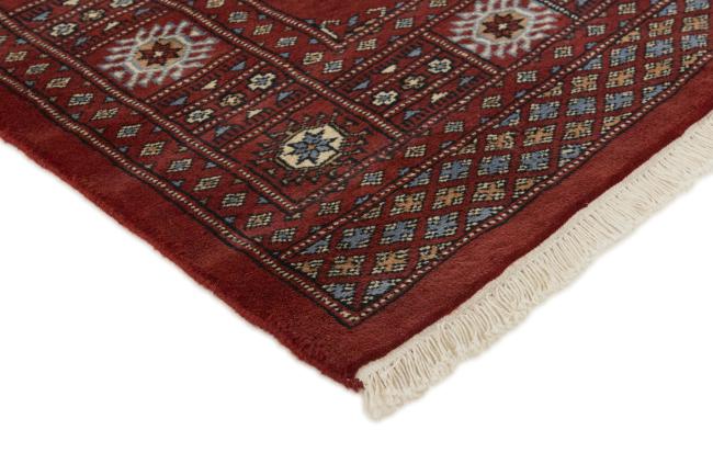 Pakistan Buchara 3ply - 3