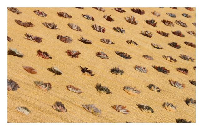 Kilim Afghan Berber Edition - 1