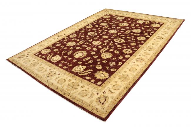 Ziegler Farahan - 2