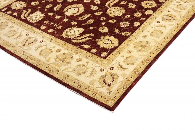Ziegler Farahan - 3