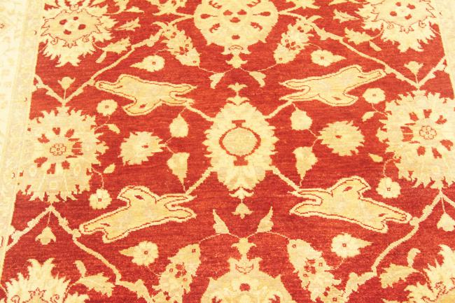 Ziegler Farahan - 5