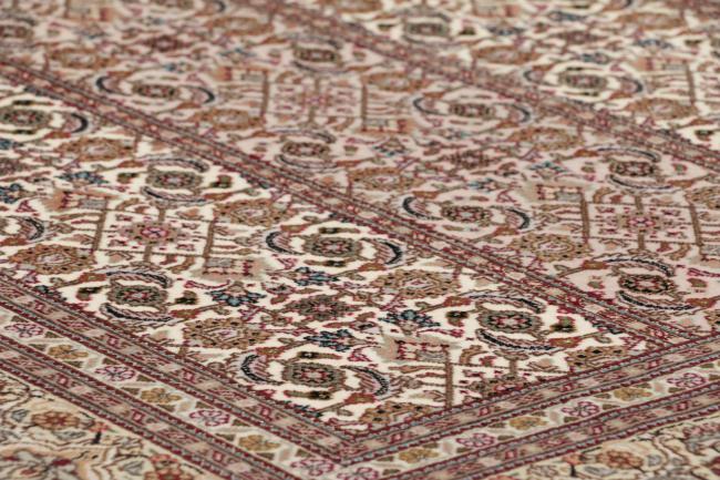 Tabriz Mahi 50Raj - 4