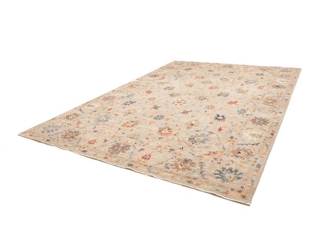 Ziegler Farahan - 1