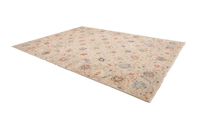 Ziegler Farahan - 2
