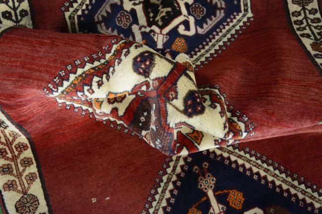 Shiraz - 9