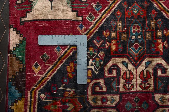 Shiraz - 4