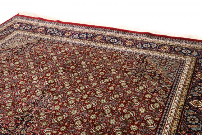 Tabriz Mahi - 3