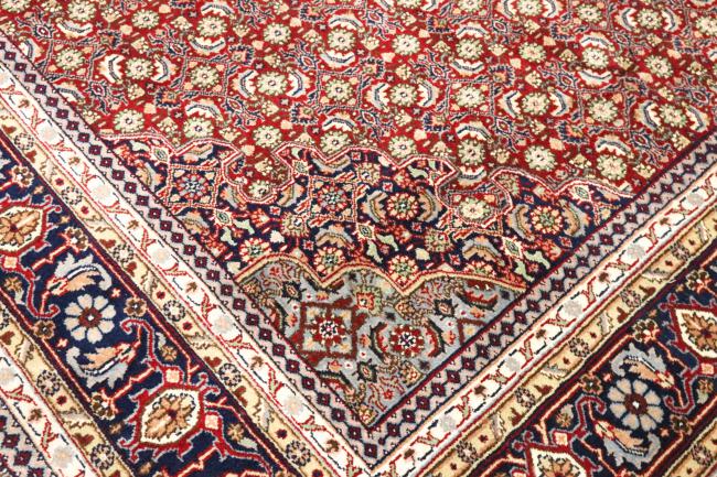 Tabriz Mahi - 4