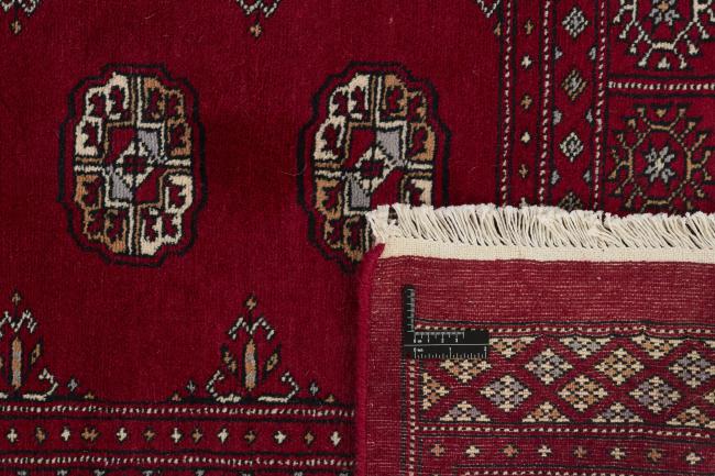 Pakistan Buchara 3ply - 1