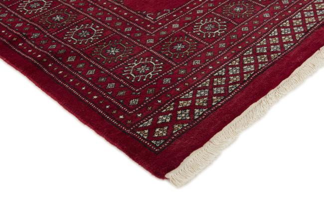 Pakistan Buchara 3ply - 3