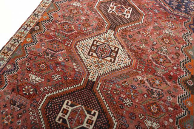 Shiraz - 3
