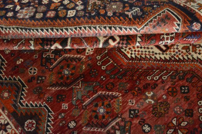 Shiraz - 6