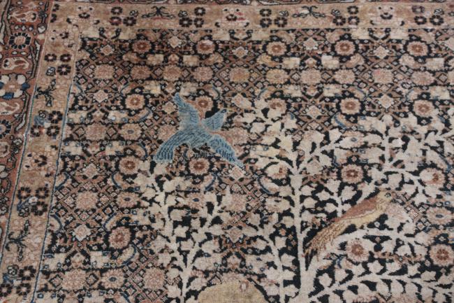 Tabriz Antikke - 8