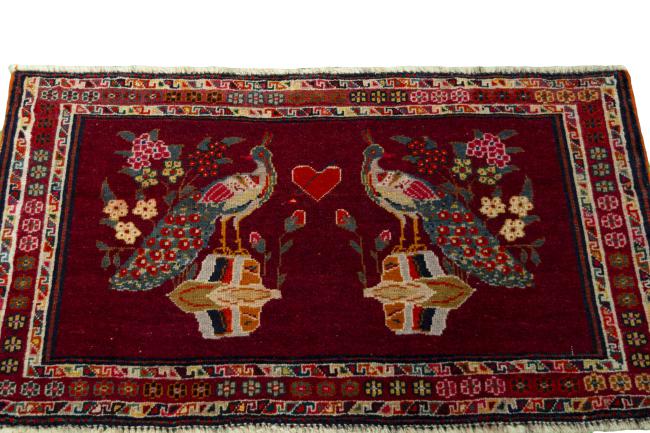 Shiraz - 3
