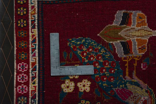 Shiraz - 4