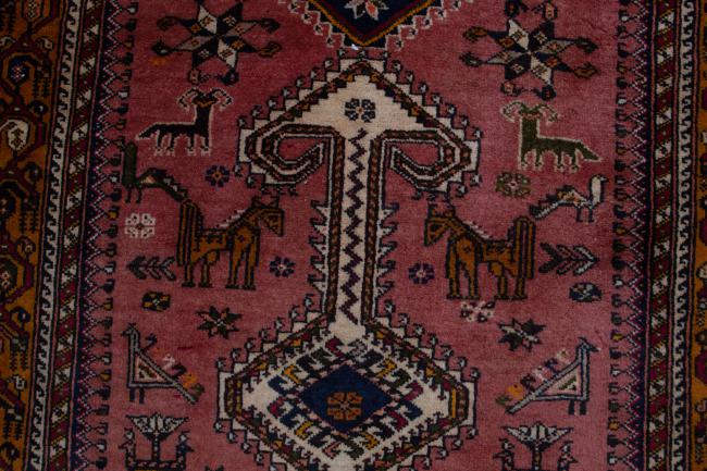 Shiraz - 5