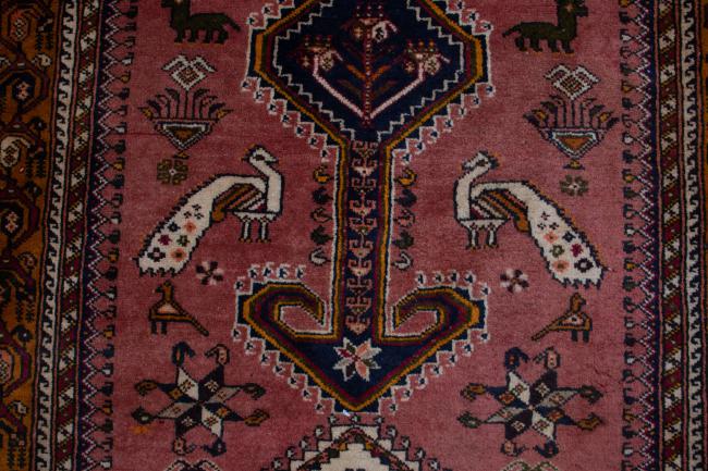 Shiraz - 6
