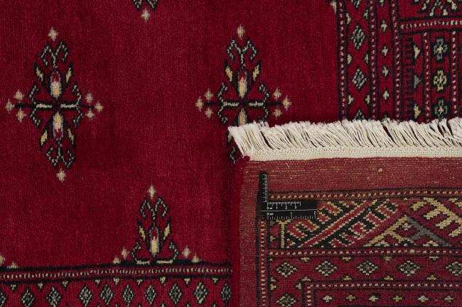 Pakistan Buchara 2ply - 1