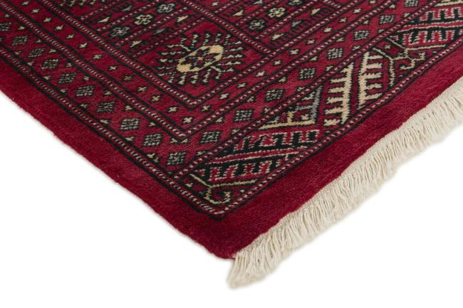 Pakistan Buchara 2ply - 3