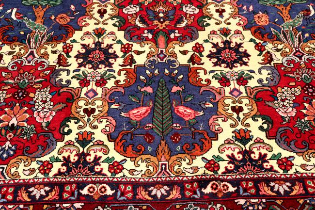 Bakhtiar - 7