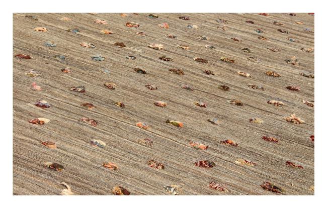 Kelim Afghan Berber Edition - 1