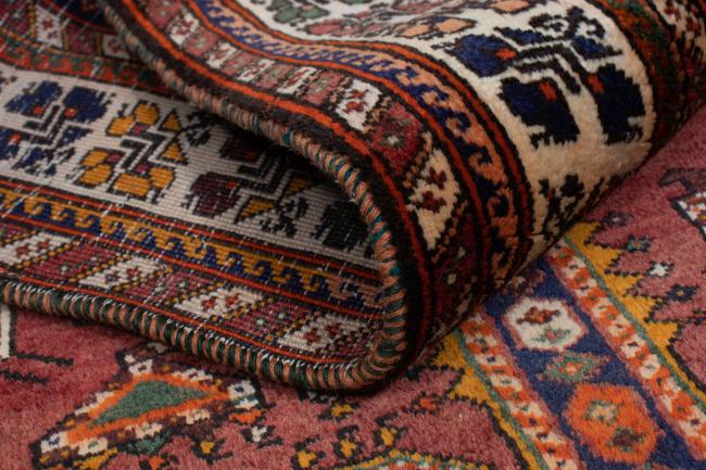 Shiraz - 5