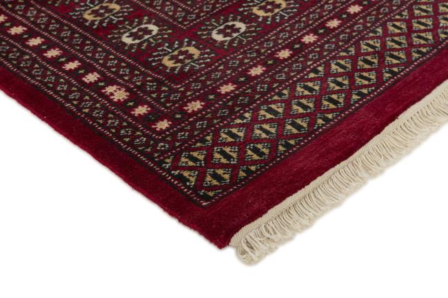 Pakistan Buchara 2ply - 3