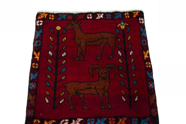 Shiraz - 3