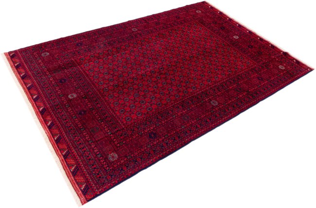 Afghan Mauri - 2