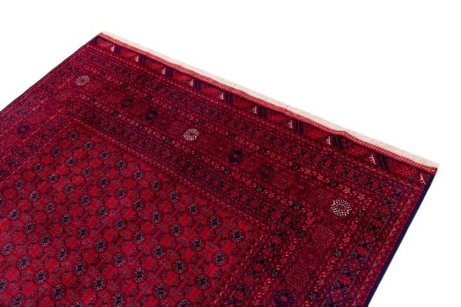 Afghan Mauri - 3