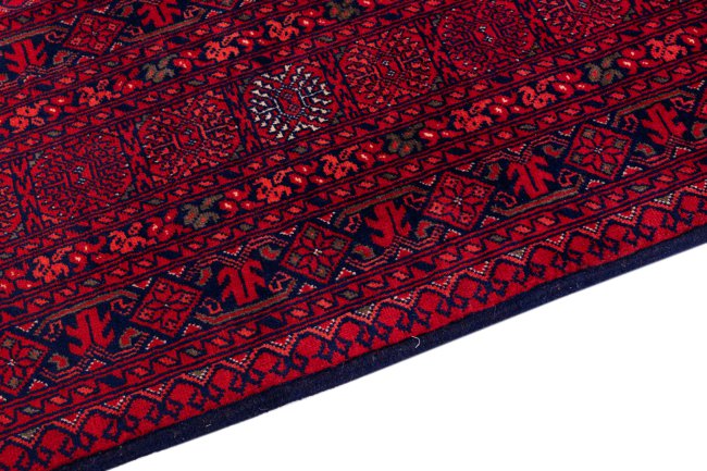 Afghan Mauri - 4