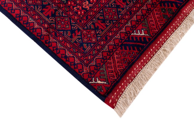 Afghan Mauri - 5