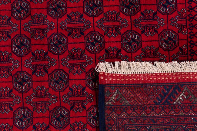 Afghan Mauri - 6
