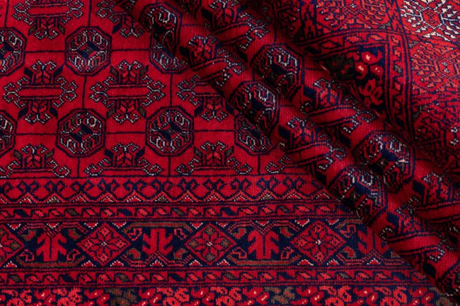 Afghan Mauri - 8