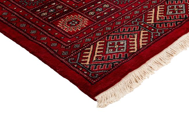 Pakistan Buchara 2ply - 3