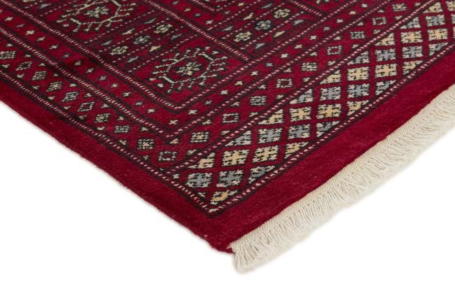 Pakistan Buchara 2ply - 3