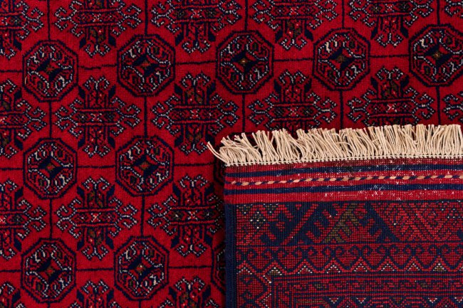 Afgán Mauri - 6