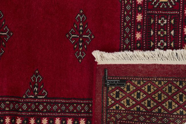 Pakistan Buchara 2ply - 1