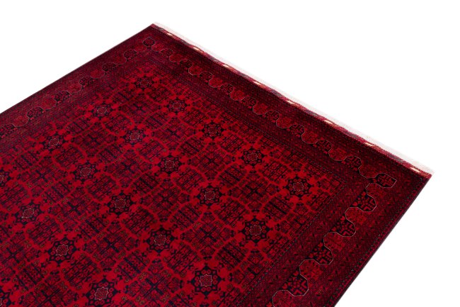 Khal Mohammadi Belgique - 3