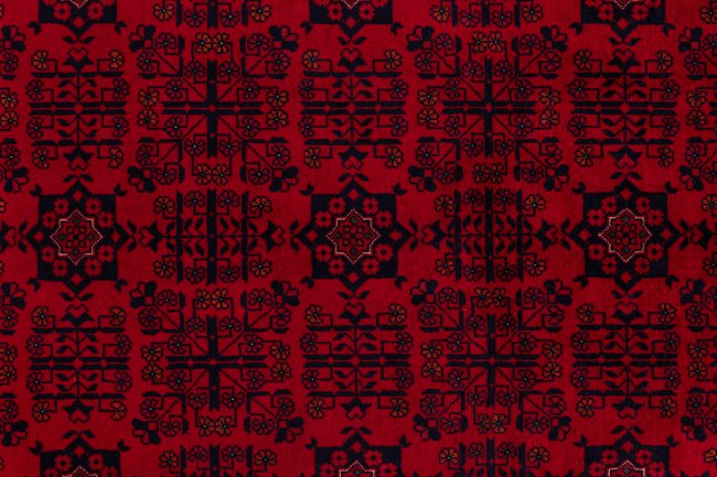 Khal Mohammadi Belgique - 7