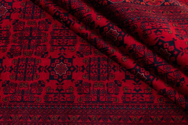 Khal Mohammadi Belgique - 8